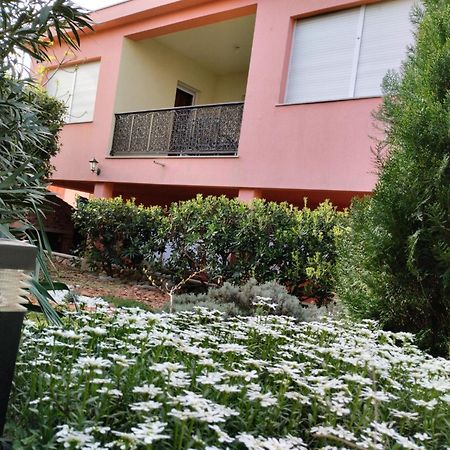 Miran Apartman Ivanica Kültér fotó